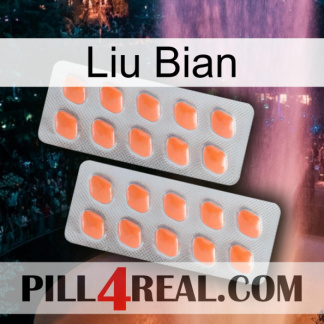 Liu Bian 27